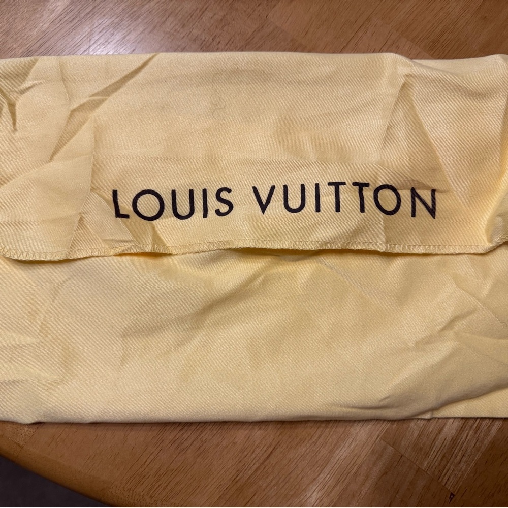 Louis Vuitton Storage Bag